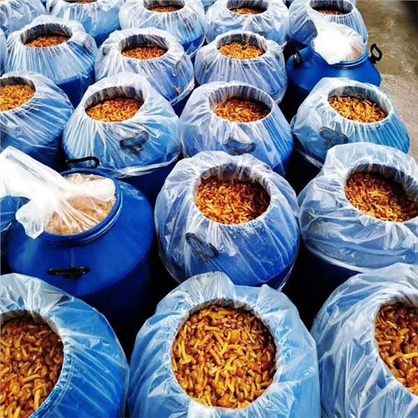 Nameko djondjon nan Eau